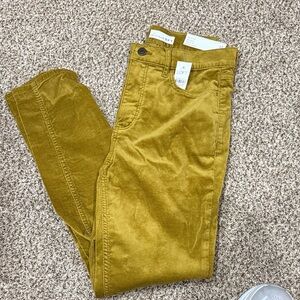 LOFT velvet jeans NWT